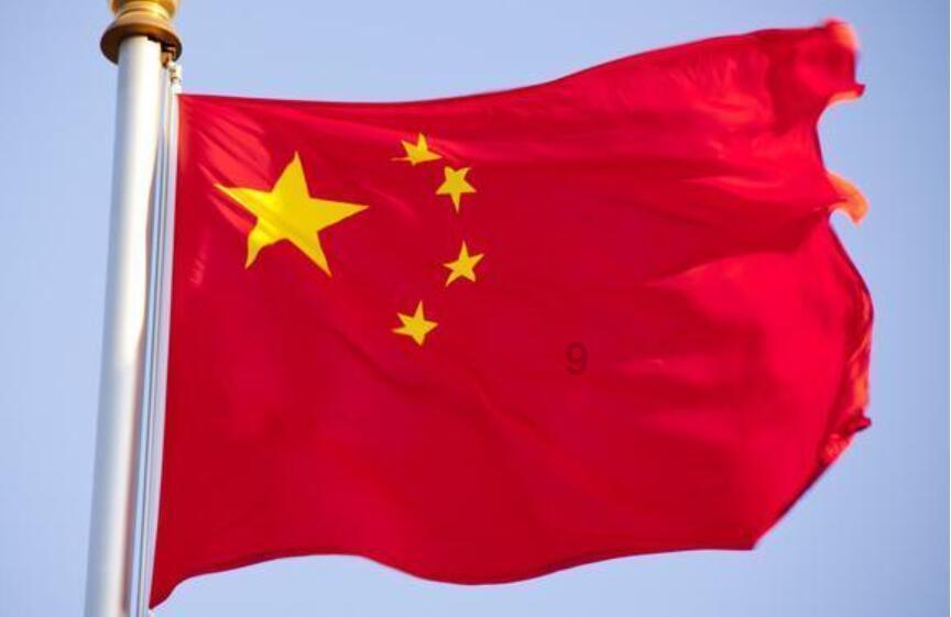 饥饿的松鼠救援
